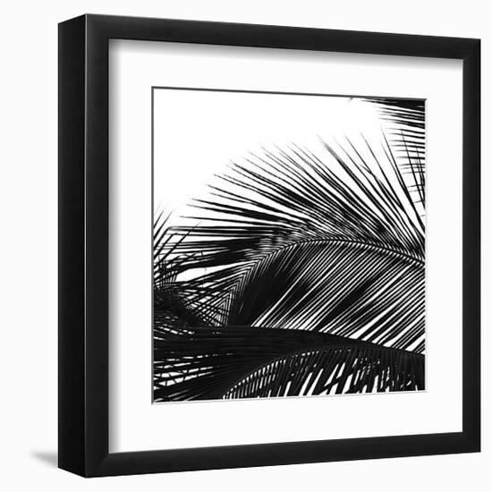 Palms 13 (detail)-Jamie Kingham-Framed Giclee Print