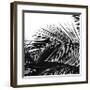 Palms 13 (detail)-Jamie Kingham-Framed Giclee Print