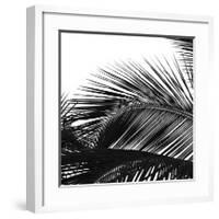 Palms 13 (detail)-Jamie Kingham-Framed Giclee Print