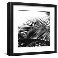 Palms 13 (detail)-Jamie Kingham-Framed Art Print