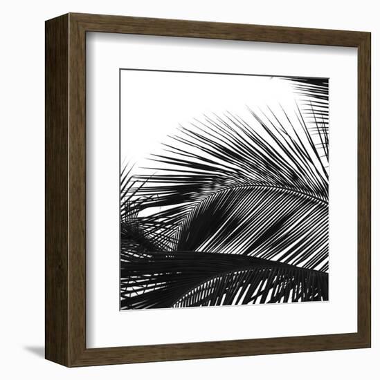 Palms 13 (detail)-Jamie Kingham-Framed Art Print