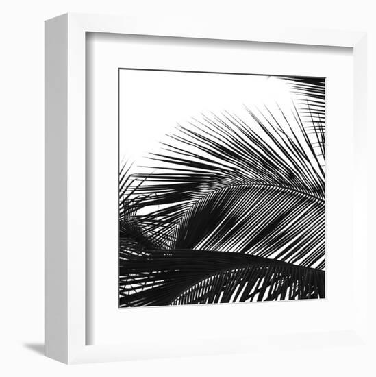 Palms 13 (detail)-Jamie Kingham-Framed Art Print