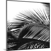 Palms 13 (detail)-Jamie Kingham-Mounted Art Print