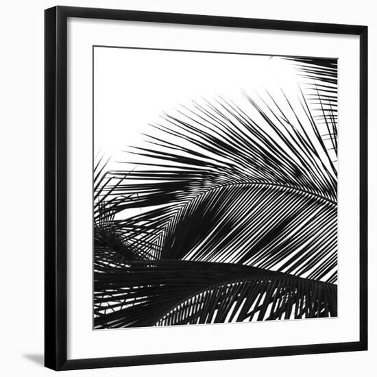 Palms 13 (detail)-Jamie Kingham-Framed Art Print