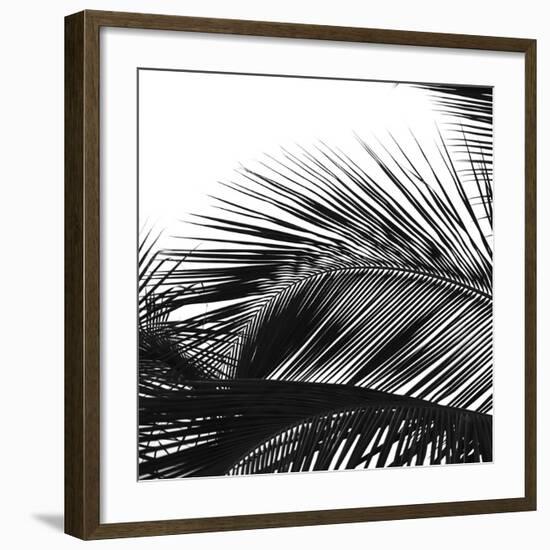 Palms 13 (detail)-Jamie Kingham-Framed Art Print