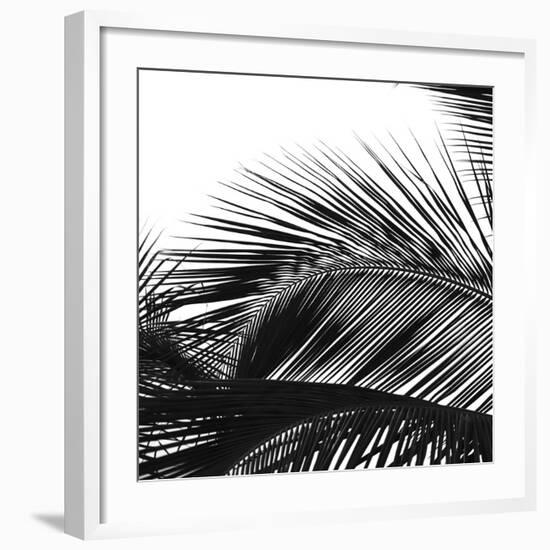 Palms 13 (detail)-Jamie Kingham-Framed Art Print