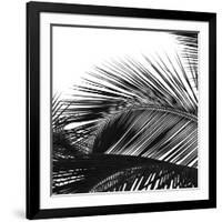 Palms 13 (detail)-Jamie Kingham-Framed Art Print