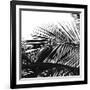 Palms 13 (detail)-Jamie Kingham-Framed Art Print