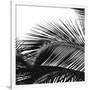 Palms 13 (detail)-Jamie Kingham-Framed Giclee Print