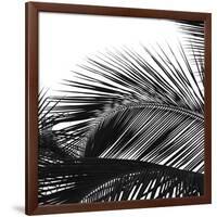 Palms 13 (detail)-Jamie Kingham-Framed Giclee Print