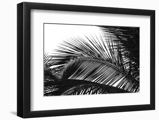 Palms 13-Jamie Kingham-Framed Art Print