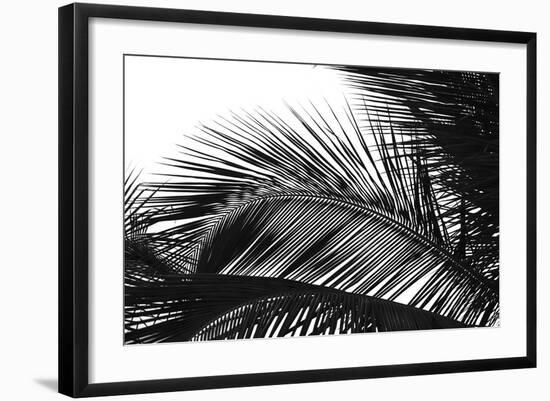 Palms 13-Jamie Kingham-Framed Art Print