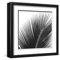 Palms 14 (detail)-Jamie Kingham-Framed Giclee Print