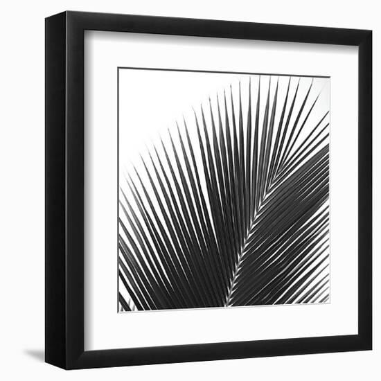 Palms 14 (detail)-Jamie Kingham-Framed Giclee Print