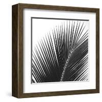 Palms 14 (detail)-Jamie Kingham-Framed Giclee Print