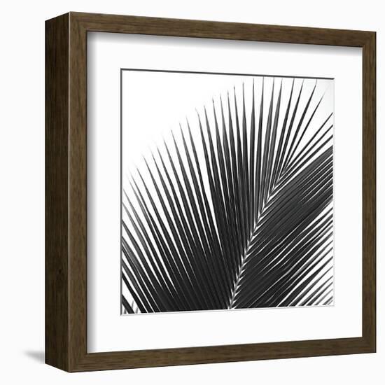 Palms 14 (detail)-Jamie Kingham-Framed Giclee Print
