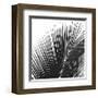 Palms 14 (detail)-Jamie Kingham-Framed Giclee Print