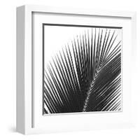 Palms 14 (detail)-Jamie Kingham-Framed Giclee Print