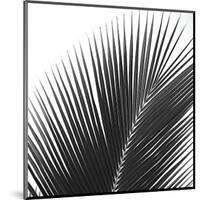 Palms 14 (detail)-Jamie Kingham-Mounted Giclee Print