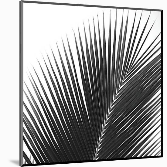 Palms 14 (detail)-Jamie Kingham-Mounted Giclee Print