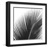 Palms 14 (detail)-Jamie Kingham-Framed Giclee Print