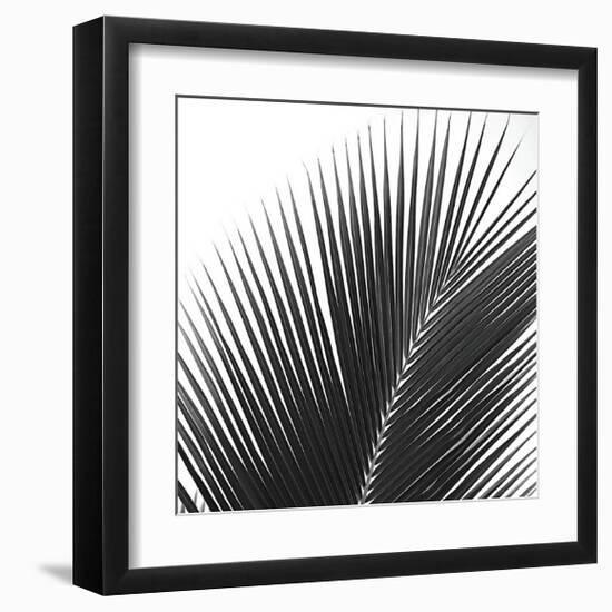 Palms 14 (detail)-Jamie Kingham-Framed Giclee Print