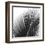 Palms 14 (detail)-Jamie Kingham-Framed Giclee Print