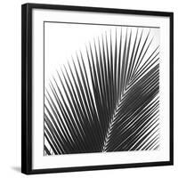 Palms 14 (detail)-Jamie Kingham-Framed Art Print