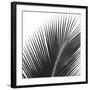 Palms 14 (detail)-Jamie Kingham-Framed Art Print