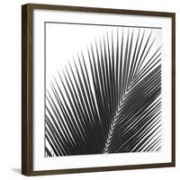 Palms 14 (detail)-Jamie Kingham-Framed Art Print