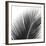 Palms 14 (detail)-Jamie Kingham-Framed Art Print