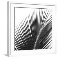 Palms 14 (detail)-Jamie Kingham-Framed Art Print