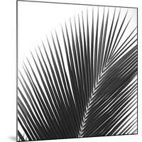 Palms 14 (detail)-Jamie Kingham-Mounted Art Print