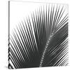 Palms 14 (detail)-Jamie Kingham-Stretched Canvas