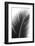 Palms 14-Jamie Kingham-Framed Art Print