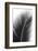 Palms 14-Jamie Kingham-Framed Art Print