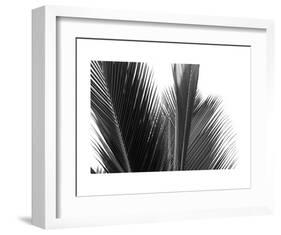 Palms 15-Jamie Kingham-Framed Art Print