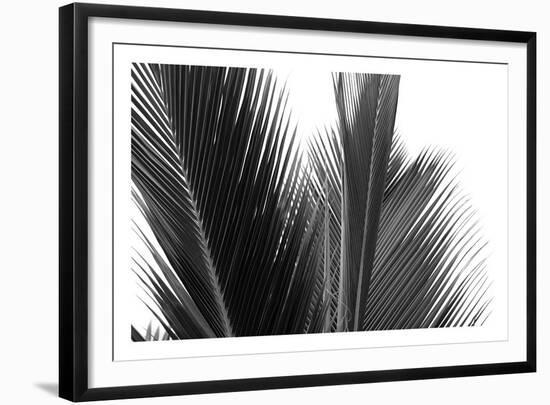 Palms 15-Jamie Kingham-Framed Art Print