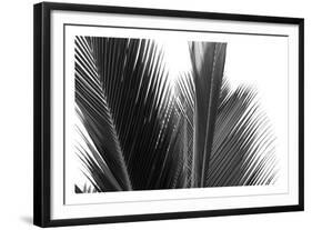 Palms 15-Jamie Kingham-Framed Art Print