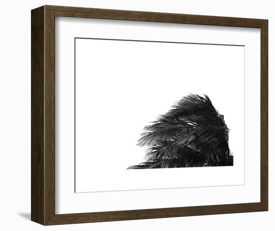 Palms 1-Jamie Kingham-Framed Art Print