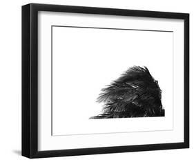 Palms 1-Jamie Kingham-Framed Art Print