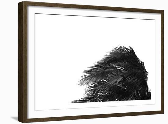 Palms 1-Jamie Kingham-Framed Art Print