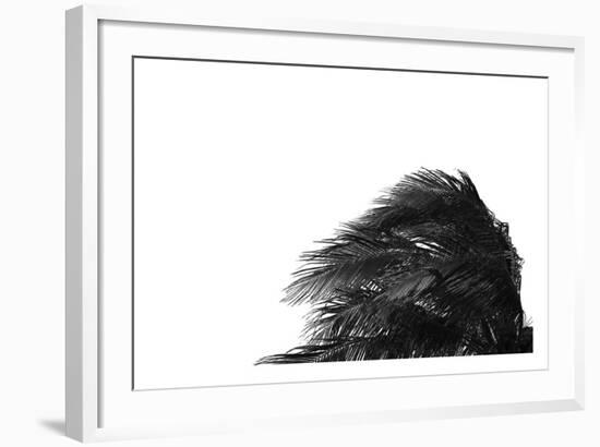 Palms 1-Jamie Kingham-Framed Art Print