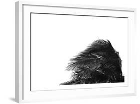 Palms 1-Jamie Kingham-Framed Art Print