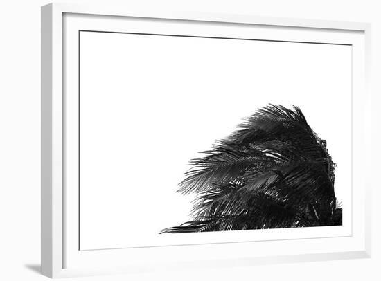 Palms 1-Jamie Kingham-Framed Art Print