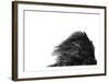 Palms 1-Jamie Kingham-Framed Art Print