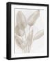 Palms 1-Ann Bailey-Framed Art Print