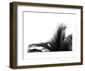 Palms 2-Jamie Kingham-Framed Art Print