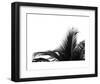 Palms 2-Jamie Kingham-Framed Art Print