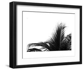 Palms 2-Jamie Kingham-Framed Art Print